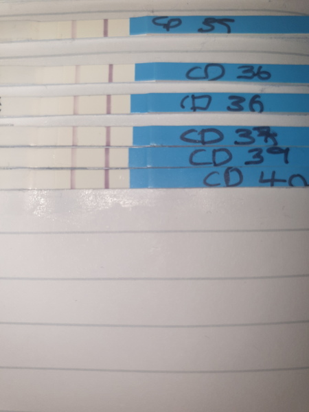 Testing mid January - anyone else like to join?
