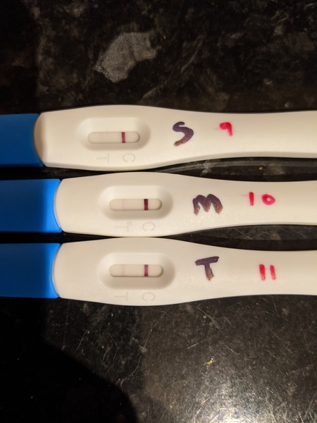 10dpo success stories?