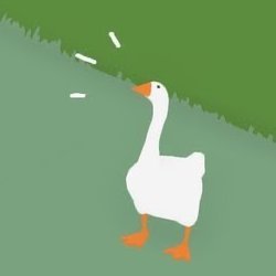 About my geese.