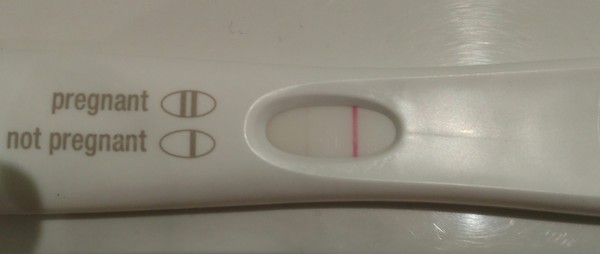 Ovulation Xmas week