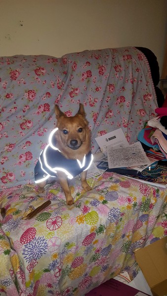 It is one o clock in the morning, I need the night shift to mind my worries whilst I sleep....