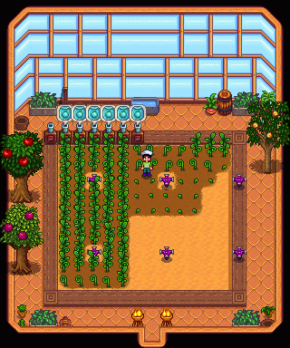 Stardew Valley
