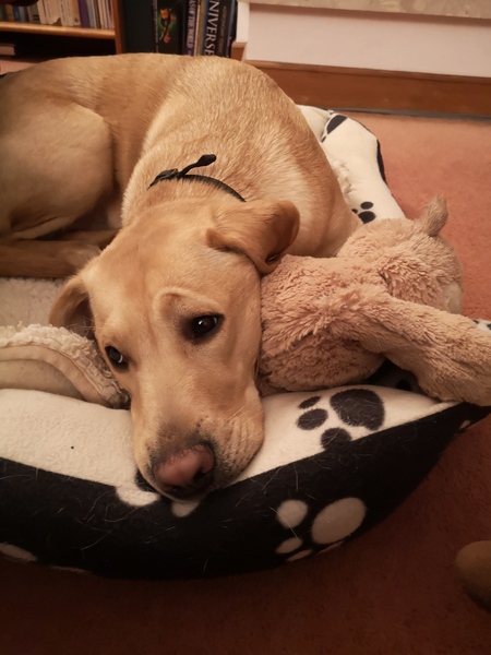 Jan ’20 – Week 1 Low Carb Bootcamp – Here we go!