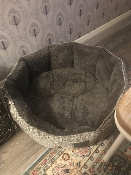 Washable dog bed - is there one?