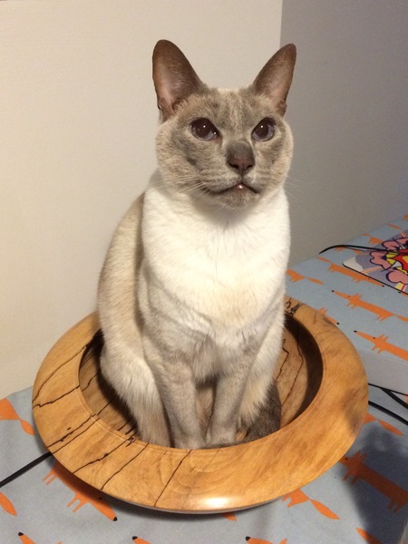 Show me your fruit bowls
