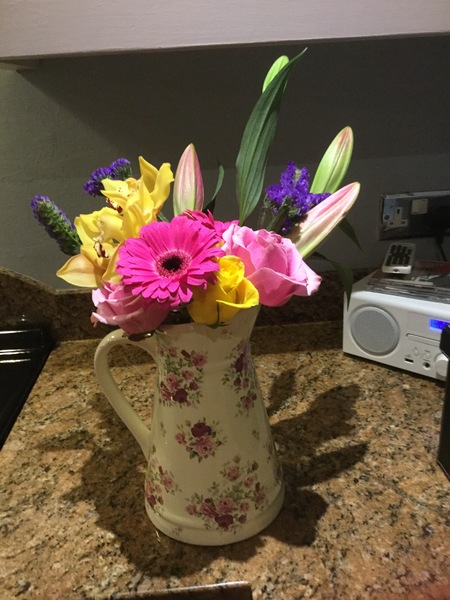 Westministenders: Canada Plus and the Transition Phase