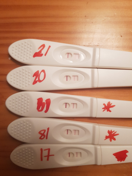 Advice on ovulation/ best days to dtd