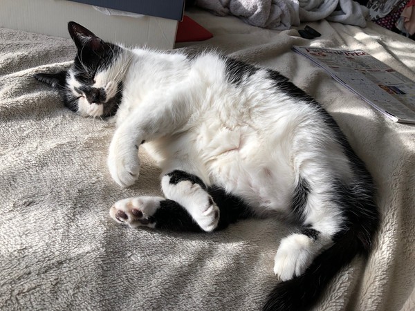 Smooshy belly thread.