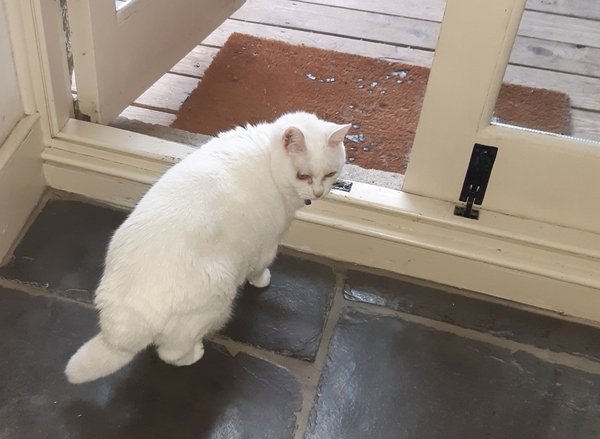 What's your DCat up to today? (Thread 7!)
