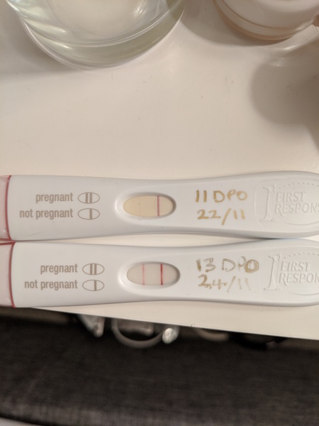 10dpo success stories?