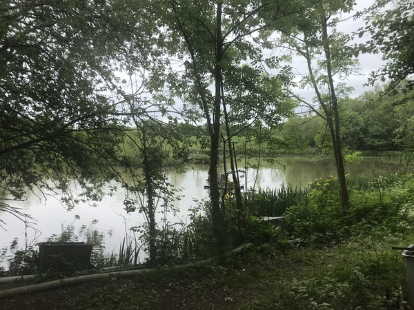 I want to move south and live near woods, where can I afford?