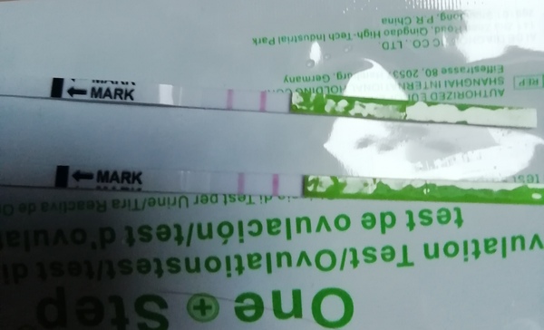 Opk results