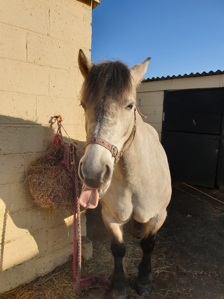 Wankerbastards move to 2020. With moderatin' a plenty. We rage against flouncers, strops and teens, and of dryness we have big dreams. We want teacups not fuckups!