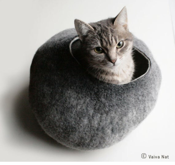 Does anyone get annoyed that there’s less stuff for cats?