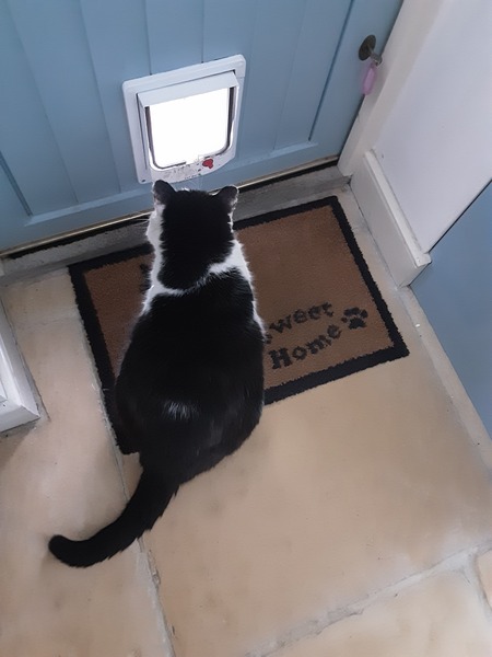 What's your DCat up to today? (Thread 7!)