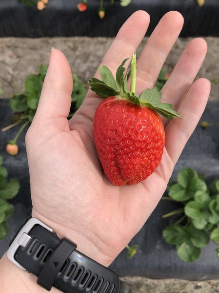 Jan '20 - Week 3 Low Carb Bootcamp - Ready for Bootcamp Light?