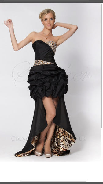 To ask how much you have/will spend on a prom dress?