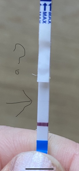 Is this a line or indent? Freedom test
