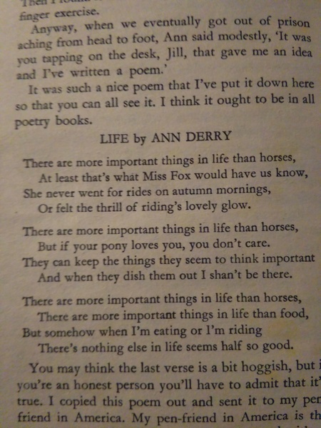 Help me find this horsey fiction book - please