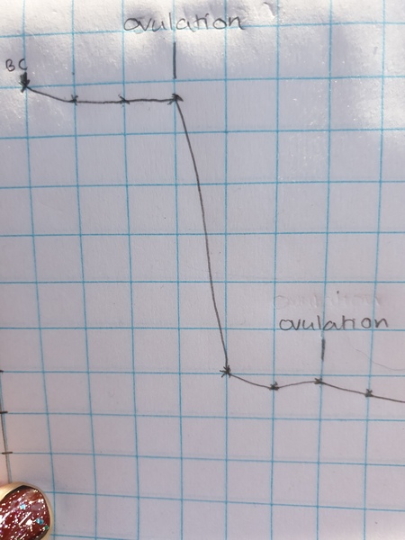 Jan '20 - Week 3 Low Carb Bootcamp - Ready for Bootcamp Light?