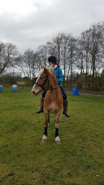 How on earth does anyone buy their first horse!!??