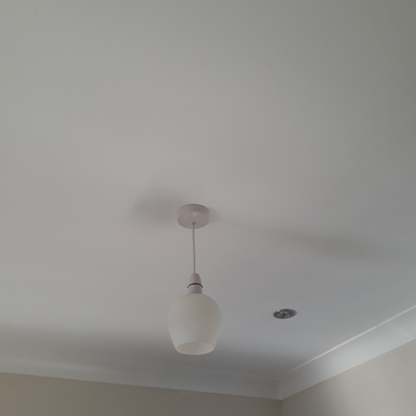 To think I can do the plastering myself?