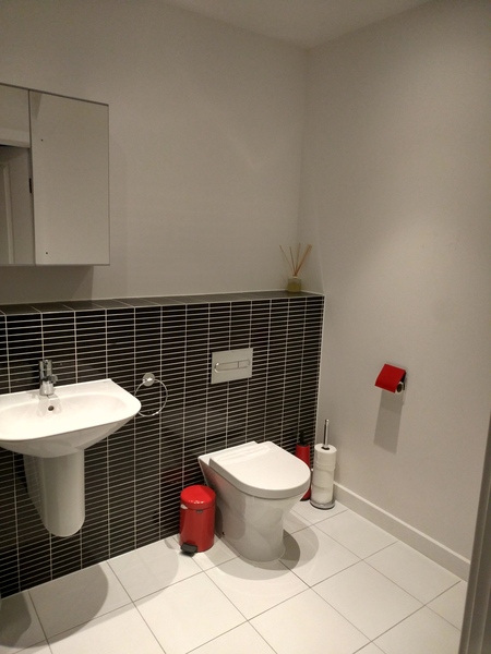 Help! Need advice for bathroom paint colour