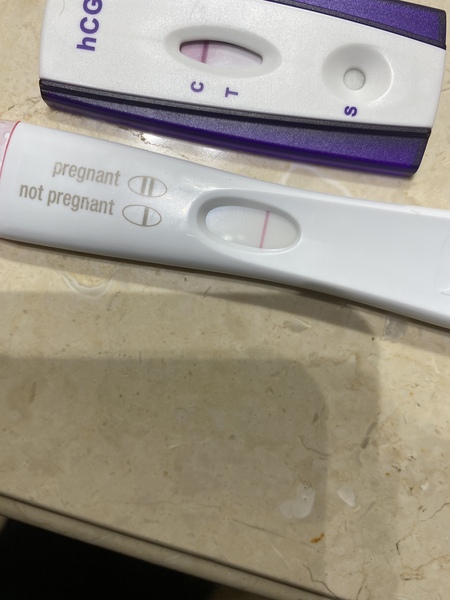Ovulation Xmas week