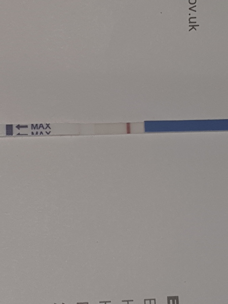 Its another squinter!