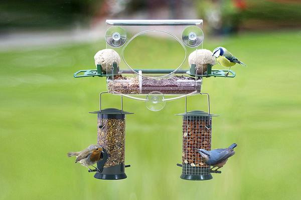 Are these birds taking the piss?