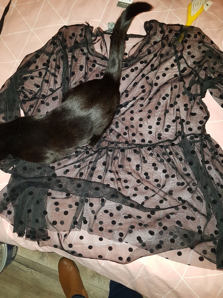 What to wear to a gig?