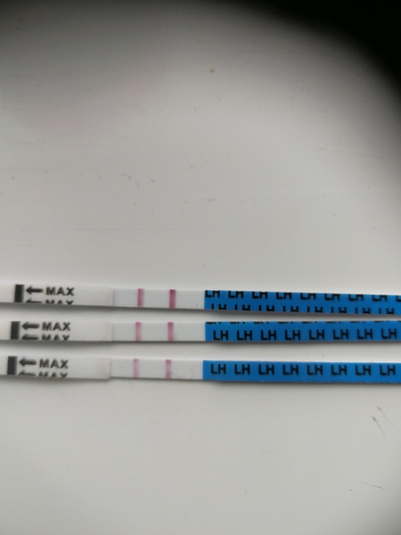 Are these poisitve opks?