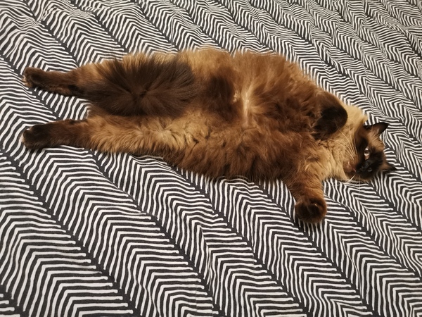 Smooshy belly thread.