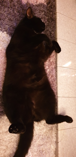 Smooshy belly thread.