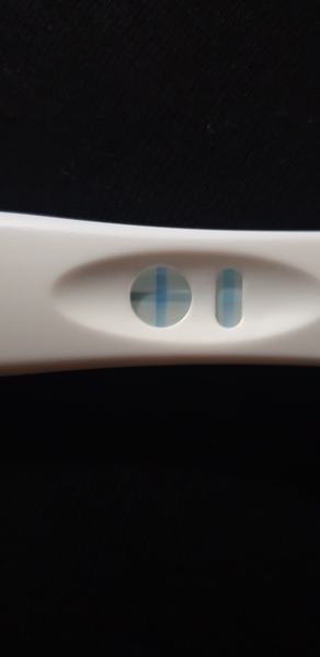 2 days late....positive ovulation test