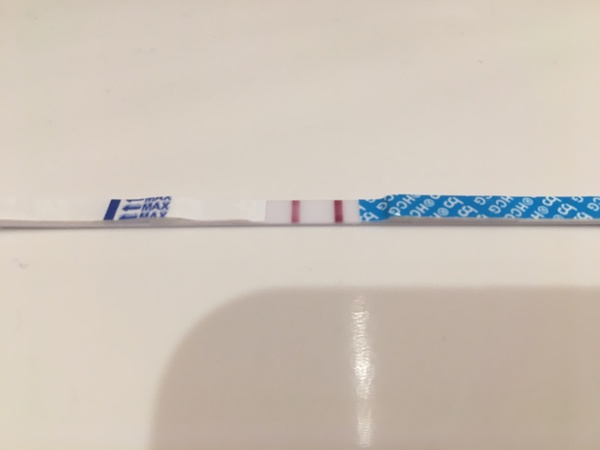 Babies due September 2020 💕 Just got BFP