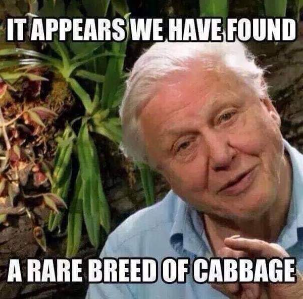 I know so much nonsense appears on Twitter but this just made me laugh and eye roll very hard