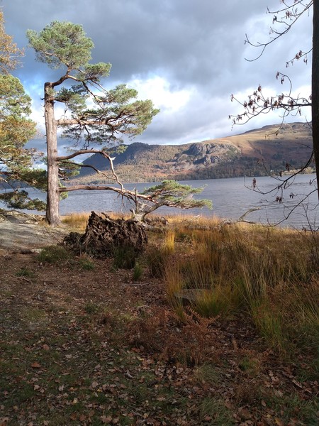 Wankerbastards move to 2020. With moderatin' a plenty. We rage against flouncers, strops and teens, and of dryness we have big dreams. We want teacups not fuckups!