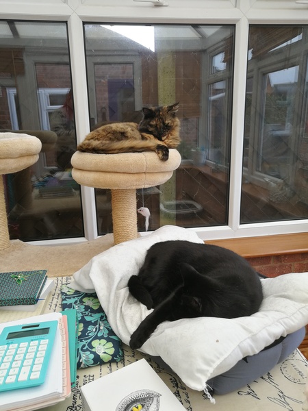 What is wrong with DCat1's chair?