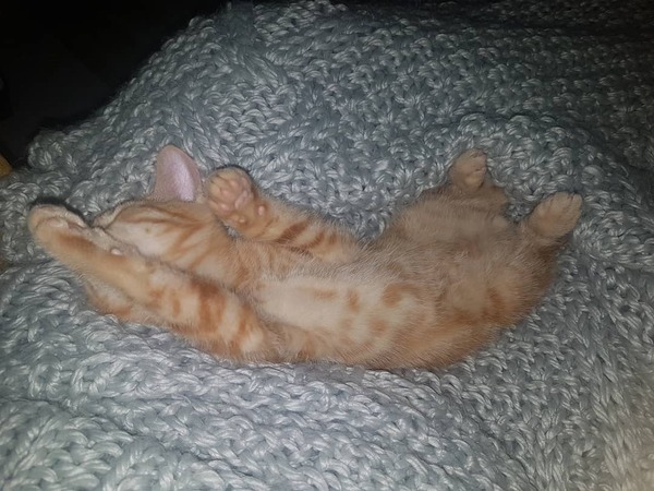 Smooshy belly thread.