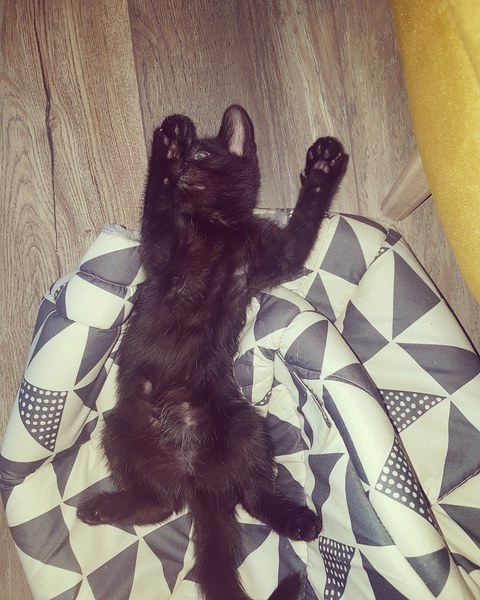 Smooshy belly thread.