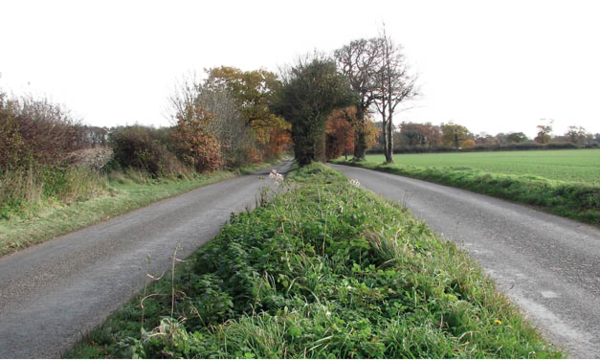 To ask what speed on a dual carriageway....