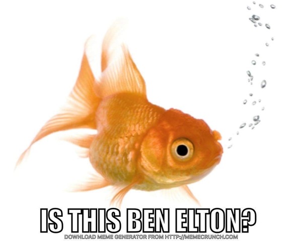 The Brexit Arms: Are We Nearly There Yet?  🇬🇧🚗↩️🇪🇺