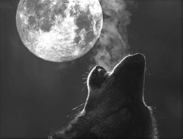 Any Witches Here? Part 10.