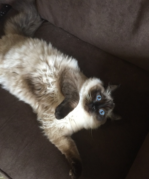 It is one o clock in the morning, I need the night shift to mind my worries whilst I sleep....