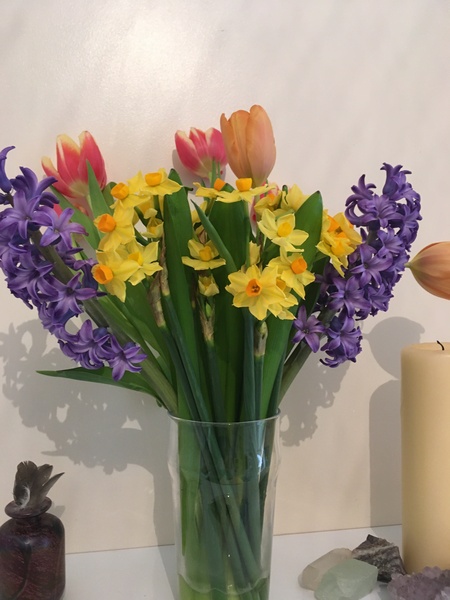 Any Witches Here? Part 10.