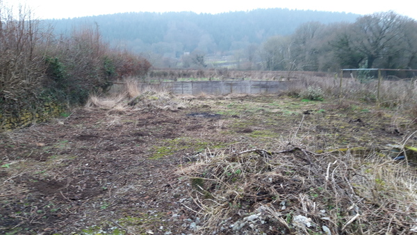 Allotment/Veg Patch Thread 14 ! growing into summer