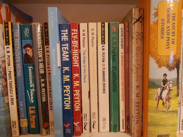 Help me find this horsey fiction book - please