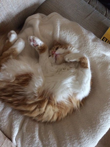 Smooshy belly thread.