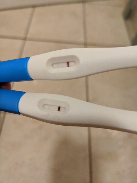 10dpo success stories?